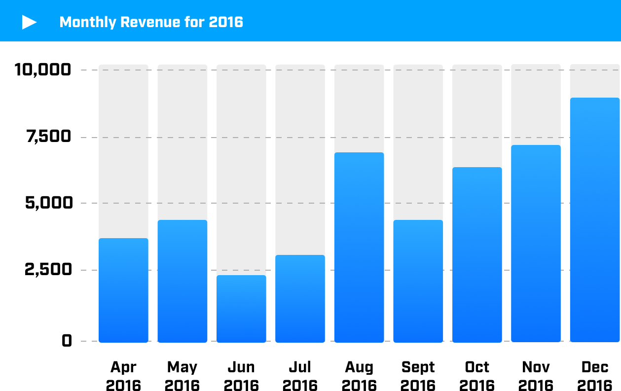 Mirna Bačun’s online business revenue